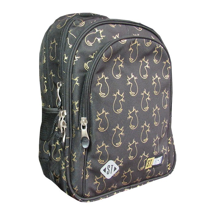 Ghiozdan-clasele-I-IV-4-compartimente-Majewski-Gama-St-Right-Colectia-Golden-Cats-2025-BP-58