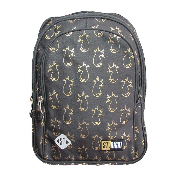 Ghiozdan-clasele-I-IV-4-compartimente-Majewski-Gama-St-Right-Colectia-Golden-Cats-2025-BP-58