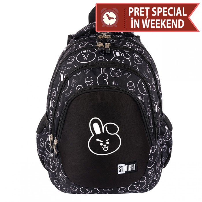 Ghiozdan-clasele-V-VIII-4-compartimente-Majewski-Gama-St-Right-Colectia-Clever-Bunny-2024-BP-06