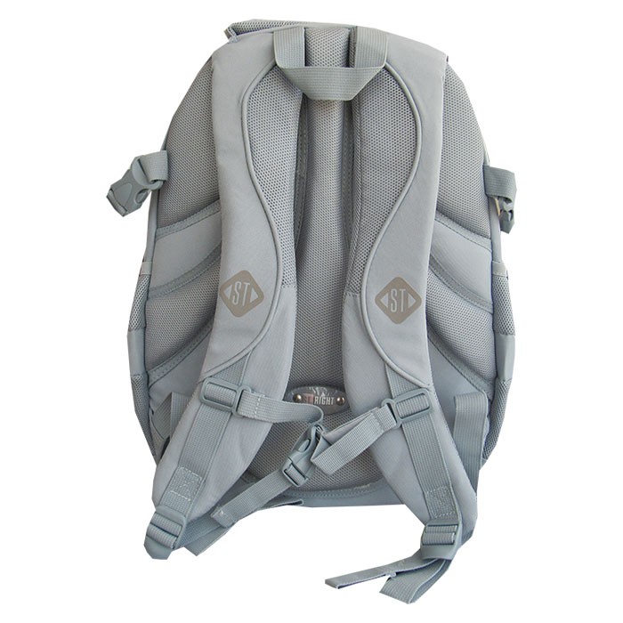 Ghiozdan-clasele-V-VIII-4-compartimente-Majewski-Gama-St-Right-Colectia-Silver-Butterflies-2025-BP-01