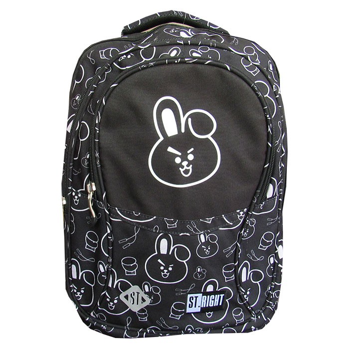 Ghiozdan-clasele-V-VIII-4-compartimente-Majewski-Gama-St-Right-Colectia-Clever-Bunny-2024-BP-01