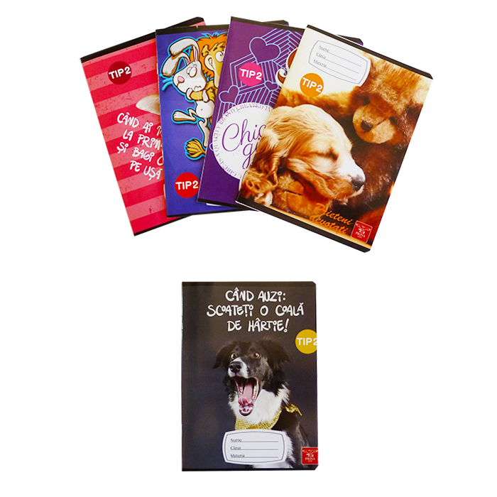 Set-5-bucati-Caiet-tip-2-24-file-Pigna