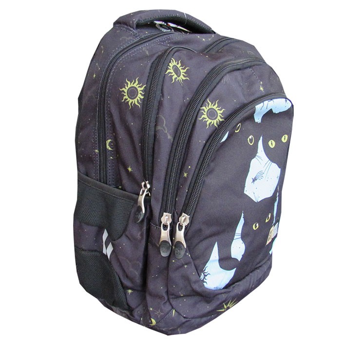 Ghiozdan-clasele-V-VIII-4-compartimente-Majewski-Gama-St-Right-Colectia-Night-Cats-2025-BP-06